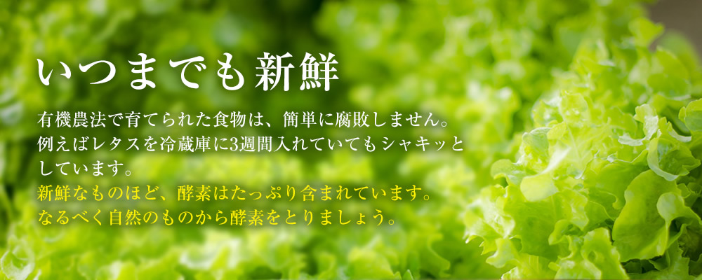 いつまでも新鮮