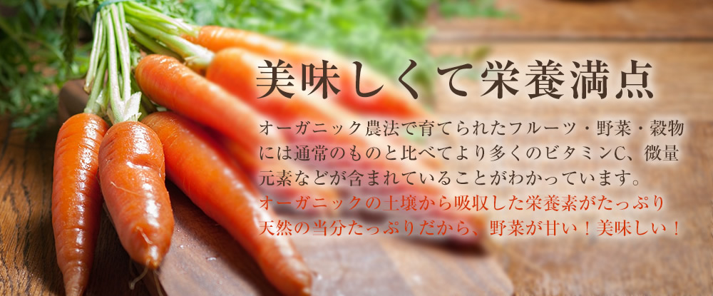 美味しくて栄養満点