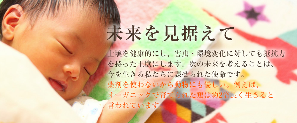 未来を見据えて