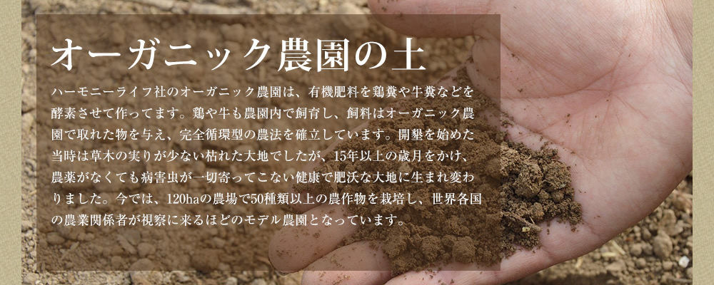 オーガニック農園の土