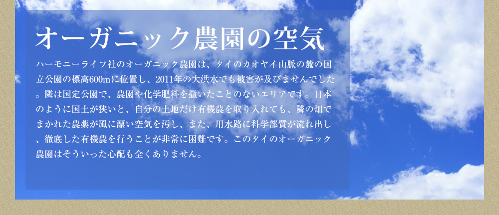 オーガニック農園の空気
