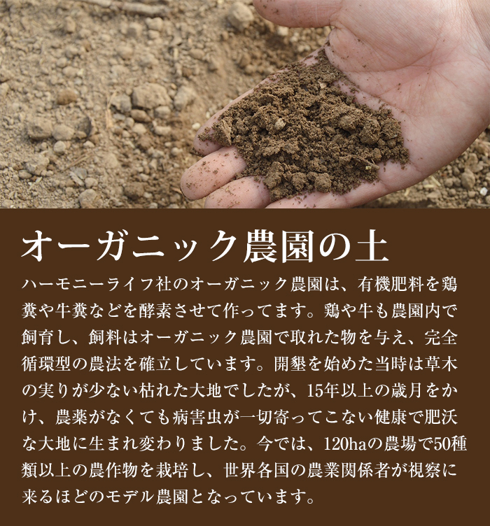 オーガニック農園の土