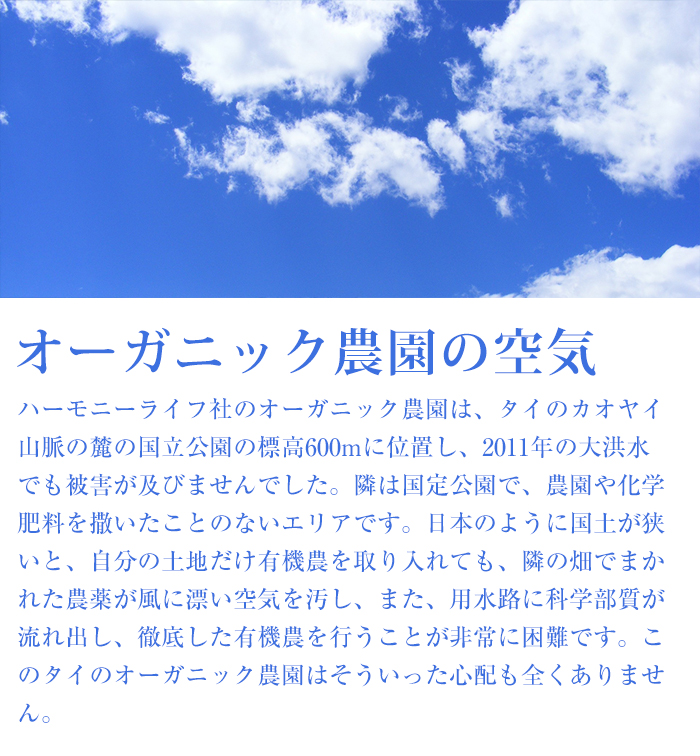 オーガニック農園の空気