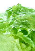 いつまでも新鮮