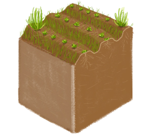 有用微生物（EM）