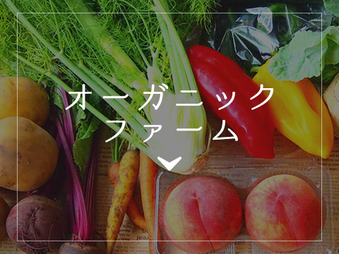 オーガニックフォーム